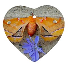 Moth And Chicory Heart Ornament (two Sides) by okhismakingart