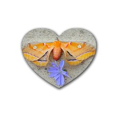 Moth And Chicory Rubber Coaster (heart)  by okhismakingart