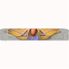 Moth And Chicory Small Bar Mats by okhismakingart