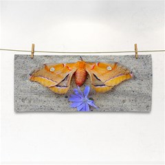 Moth And Chicory Hand Towel by okhismakingart