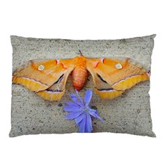 Moth And Chicory Pillow Case by okhismakingart