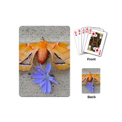 Moth And Chicory Playing Cards (mini) by okhismakingart