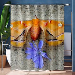 Moth And Chicory Shower Curtain 60  X 72  (medium)  by okhismakingart