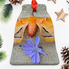 Moth And Chicory Ornament (bell) by okhismakingart