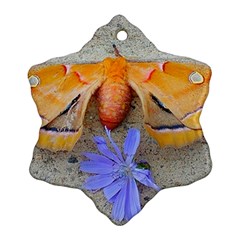 Moth And Chicory Snowflake Ornament (two Sides) by okhismakingart