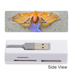 Moth And Chicory Memory Card Reader (stick) by okhismakingart