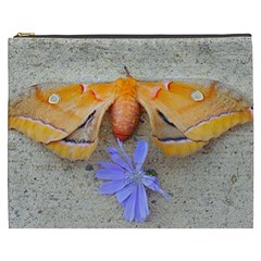 Moth And Chicory Cosmetic Bag (xxxl) by okhismakingart