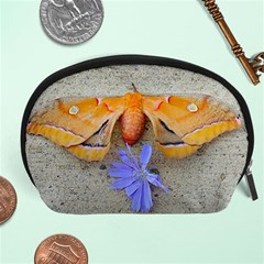 Moth And Chicory Accessory Pouch (large) by okhismakingart