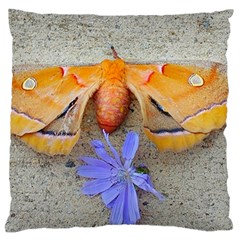 Moth And Chicory Standard Flano Cushion Case (two Sides) by okhismakingart