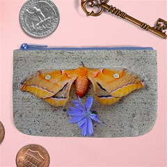 Moth And Chicory Large Coin Purse by okhismakingart