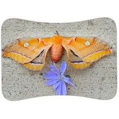 Moth And Chicory Velour Seat Head Rest Cushion