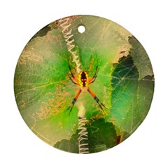 Orb Spider Ornament (round) by okhismakingart