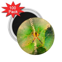 Orb Spider 2 25  Magnets (100 Pack)  by okhismakingart