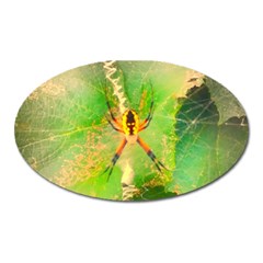 Orb Spider Oval Magnet by okhismakingart