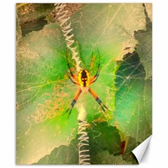 Orb Spider Canvas 8  X 10  by okhismakingart