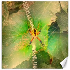 Orb Spider Canvas 12  X 12  by okhismakingart