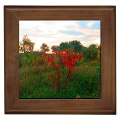 Red Weeds Framed Tiles by okhismakingart