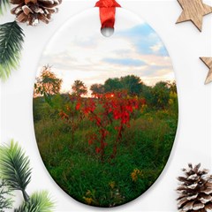 Red Weeds Ornament (oval) by okhismakingart