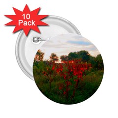 Red Weeds 2 25  Buttons (10 Pack)  by okhismakingart