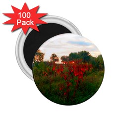 Red Weeds 2 25  Magnets (100 Pack)  by okhismakingart