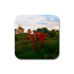 Red Weeds Rubber Square Coaster (4 Pack)  by okhismakingart