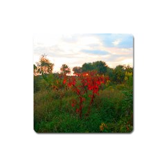 Red Weeds Square Magnet by okhismakingart