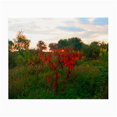 Red Weeds Small Glasses Cloth (2-side) by okhismakingart