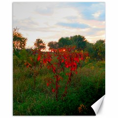 Red Weeds Canvas 11  X 14  by okhismakingart