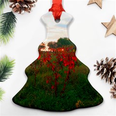 Red Weeds Ornament (christmas Tree)  by okhismakingart