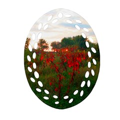 Red Weeds Ornament (oval Filigree) by okhismakingart