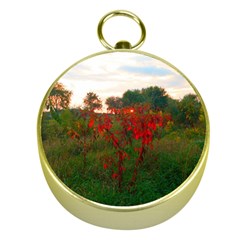 Red Weeds Gold Compasses by okhismakingart