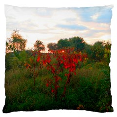 Red Weeds Large Flano Cushion Case (one Side) by okhismakingart