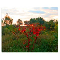 Red Weeds Double Sided Flano Blanket (medium)  by okhismakingart