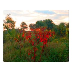 Red Weeds Double Sided Flano Blanket (large)  by okhismakingart