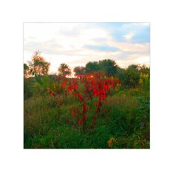 Red Weeds Small Satin Scarf (square) by okhismakingart