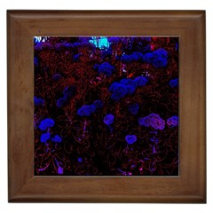 Red-edged Blue Sedum Framed Tile by okhismakingart