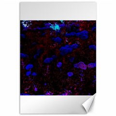 Red-edged Blue Sedum Canvas 12  X 18 