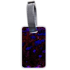 Red-edged Blue Sedum Luggage Tag (one Side) by okhismakingart