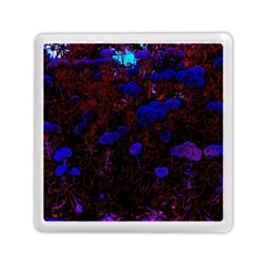 Red-edged Blue Sedum Memory Card Reader (square) by okhismakingart