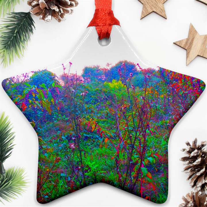 Neon Weeds Star Ornament (Two Sides)