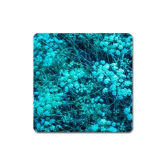 Blue-green Compound Flowers Square Magnet by okhismakingart