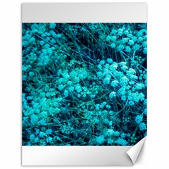 Blue-green Compound Flowers Canvas 12  X 16  by okhismakingart