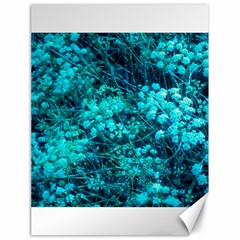 Blue-green Compound Flowers Canvas 18  X 24  by okhismakingart