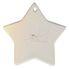 Hanging Spider Star Ornament (two Sides) by okhismakingart