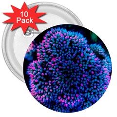 Pink-tipped Sedum 3  Button (10 Pack) by okhismakingart