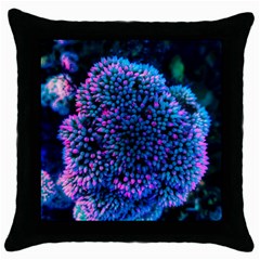 Pink-tipped Sedum Throw Pillow Case (black) by okhismakingart