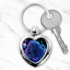 Pink-tipped Sedum Key Chain (heart) by okhismakingart