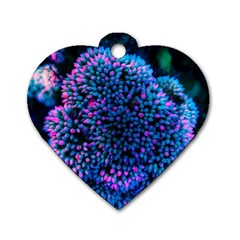 Pink-tipped Sedum Dog Tag Heart (two Sides) by okhismakingart