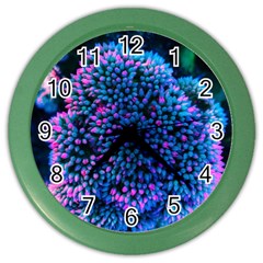 Pink-tipped Sedum Color Wall Clock by okhismakingart