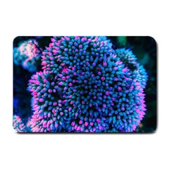 Pink-tipped Sedum Small Doormat by okhismakingart